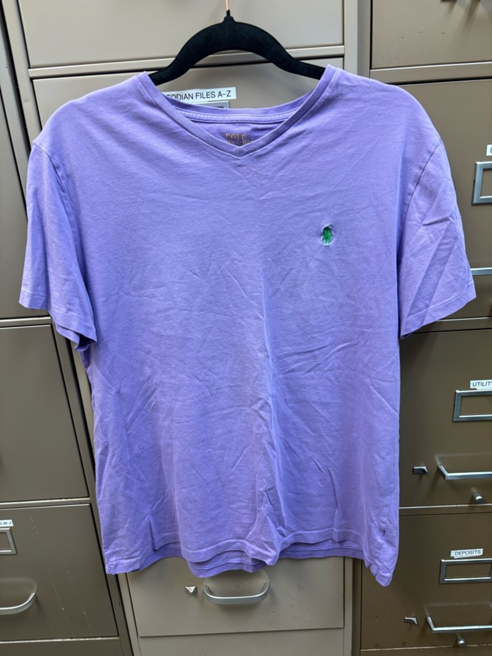 Polo by Ralph Lauren Unisex Lavender V-Neck Tee with Green Pony